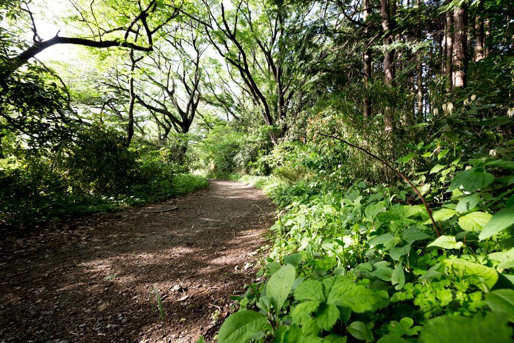 The Canvas Hayama Park Εξωτερικό φωτογραφία